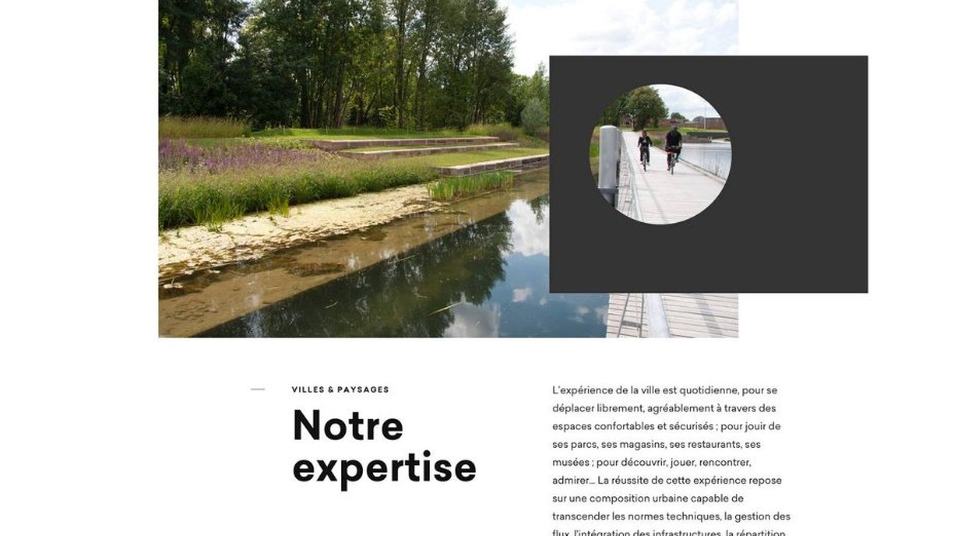 Peisaj din Delta Dunării